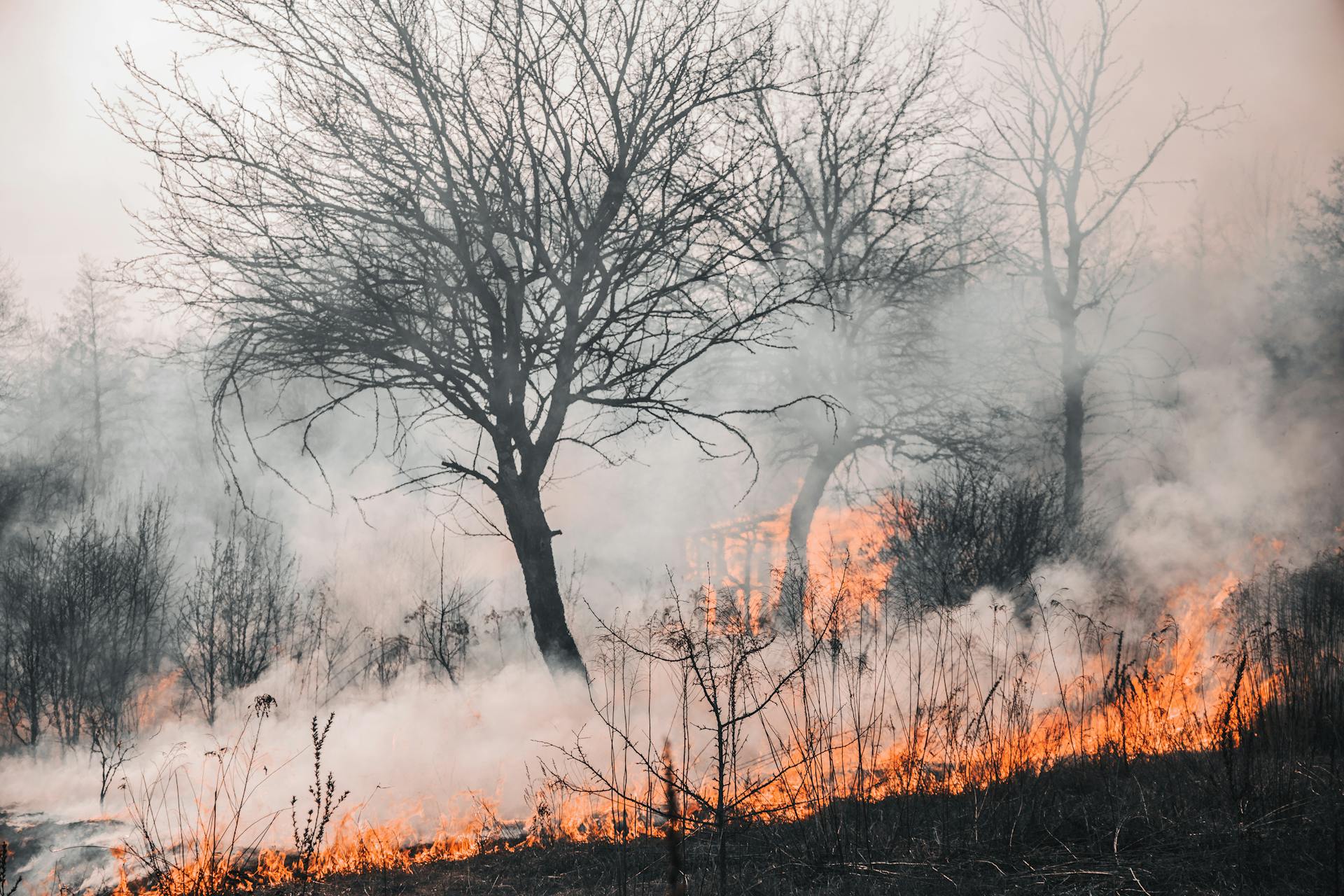 avviso stato di calamità naturale SICCITA'