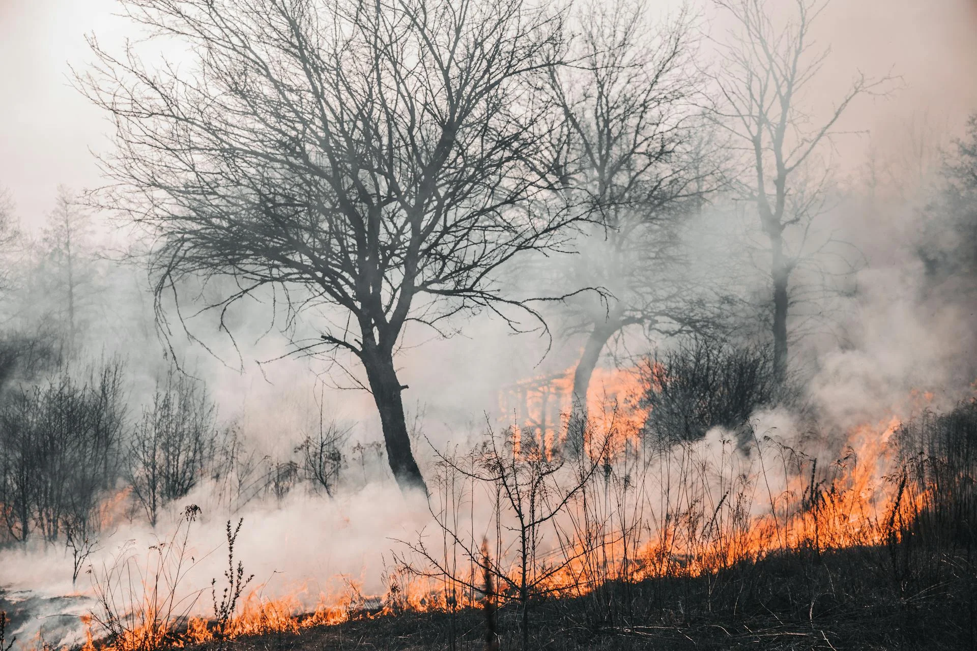 Avviso stato di calamità naturale siccita'